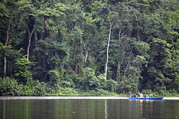 Canoe in front of the rainforest