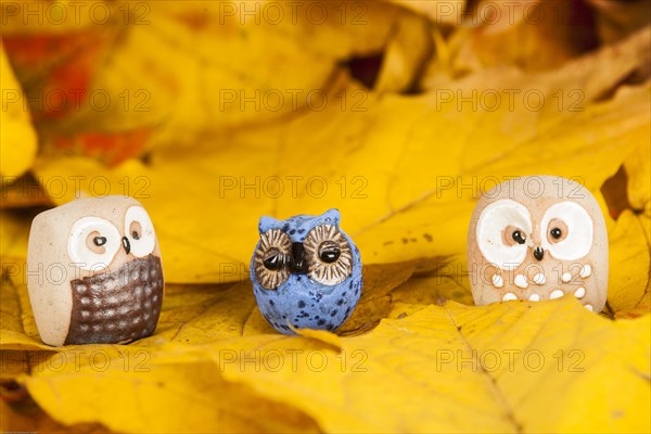 Owls Figures on Autumn Leaves