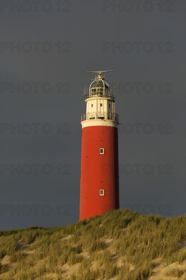 Eierland Lighthouse in the dunes during stormy weather on the northernmost tip of the Dutch island of Texel