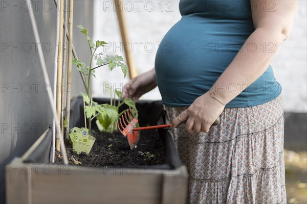 Pregnant woman at a flowerbed