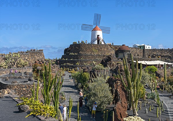 Windmill in the Jardin de Cactus