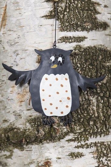 Owl sign on a birch bark