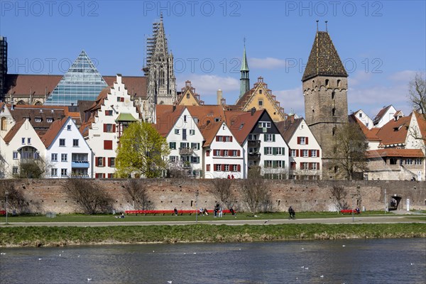 Danube and Danube promenade with Ulm city wall and Ulm Cathedral behind