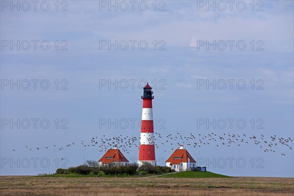 Lighthouse Westerheversand and salt marshes at Westerhever