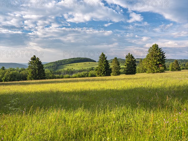 Typical landscape in the Rhoen biosphere reserve with wet meadow