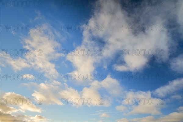 Yellow-white spring clouds in the evening blue sky