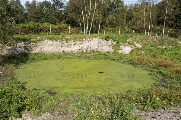 Old watering place for cattle