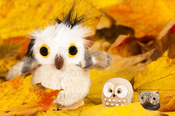 Owls Figures on Autumn Leaves