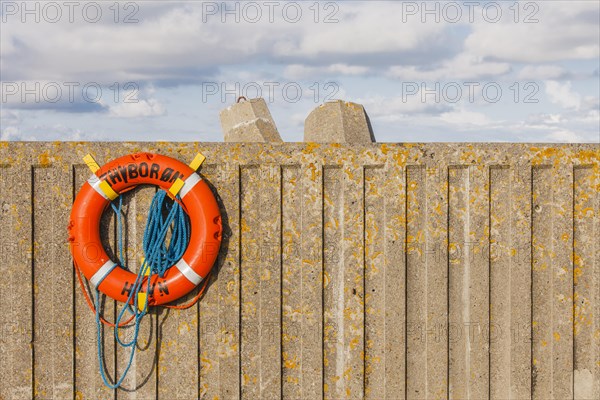 Lifebelt on concrete wall