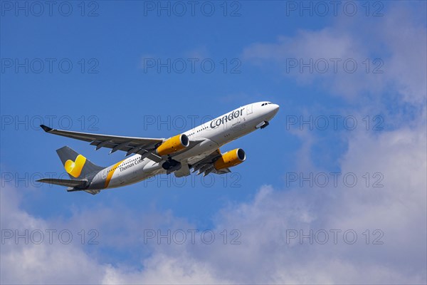 Airbus A330-200 of the airline Condor during take-off at Fraport Airport