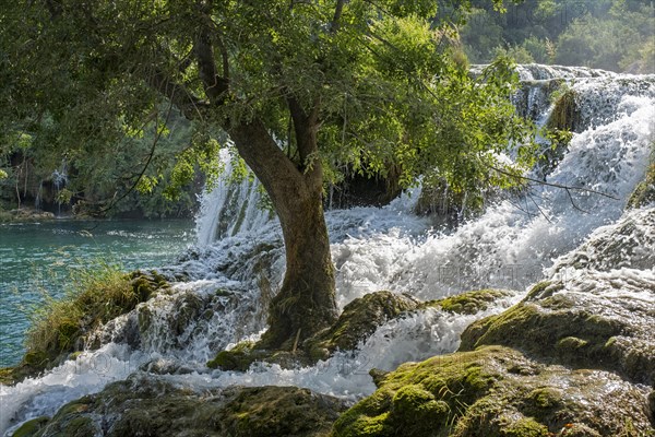 Cascade at Skradinski buk in the Krka National Park near