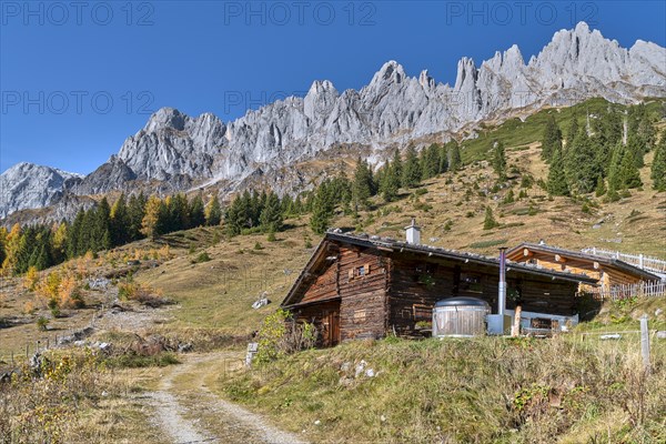 Autumnal alpine pasture in good weather