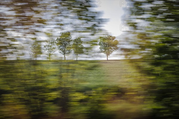 Landscape in central Germany. View from a moving train onto meadows and trees