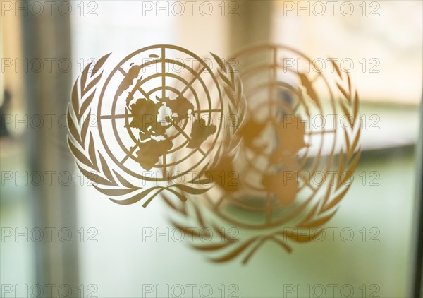 United Nations Symbol