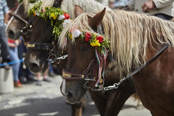 Wreath riding