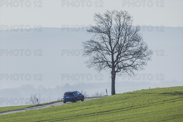 A car on a country road