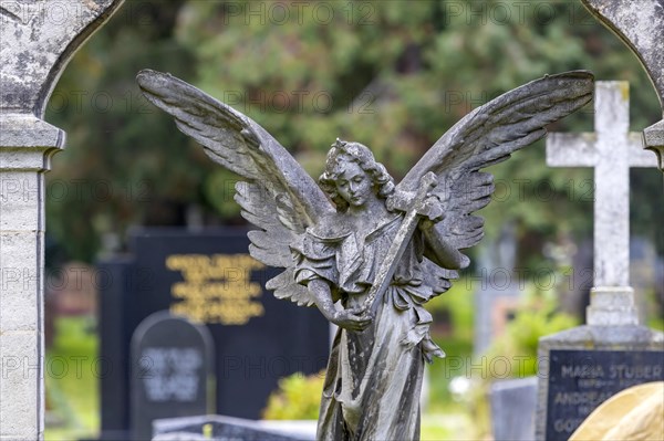 Prague Cemetery Stuttgart in autumn