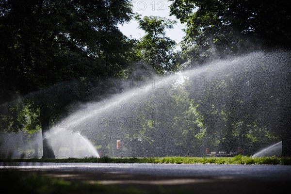 Symbolic photo on the subject of watering public green spaces. Lawn sprinklers water the Monbijoupark in Berlin Mitte. Berlin