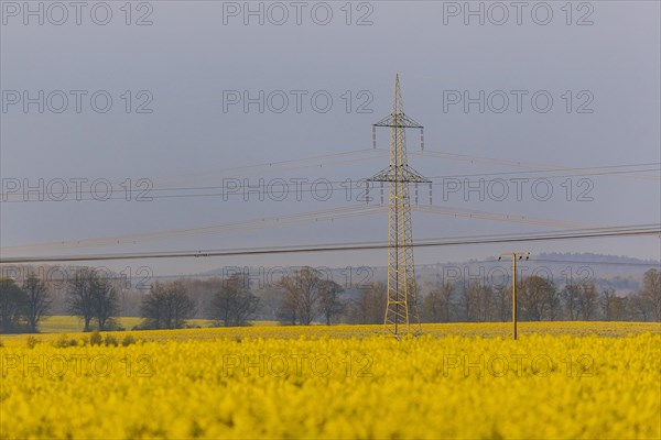 Electricity pylons looming in a landscape near Glasewitz