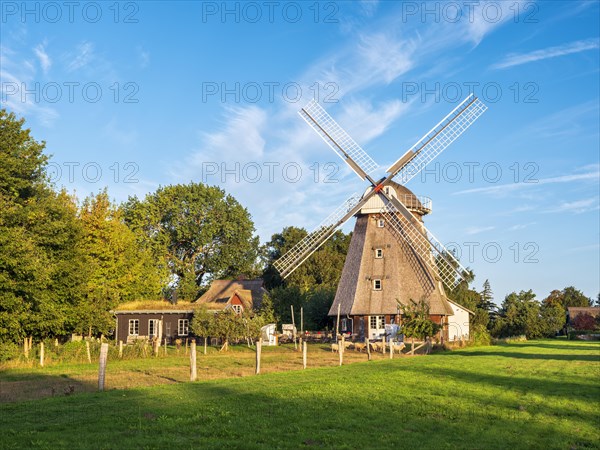 Windmill in the morning light