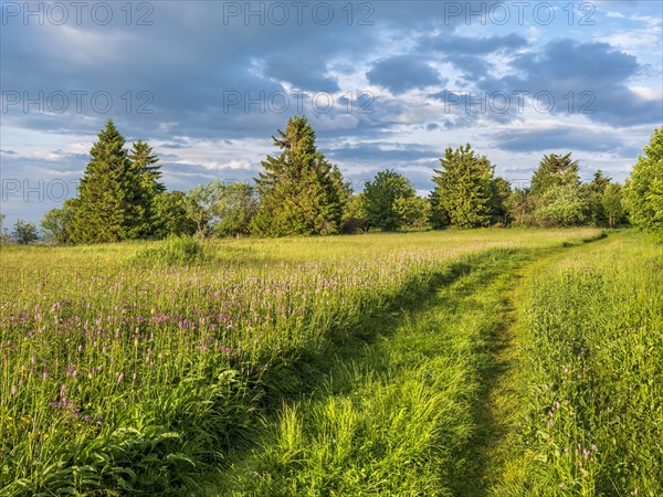 Hiking trail through typical landscape in the Rhoen biosphere reserve