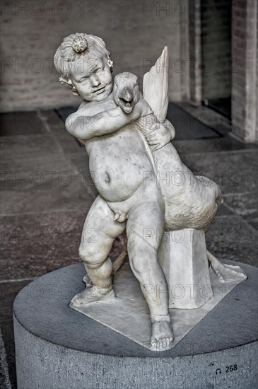 Boy with the goose