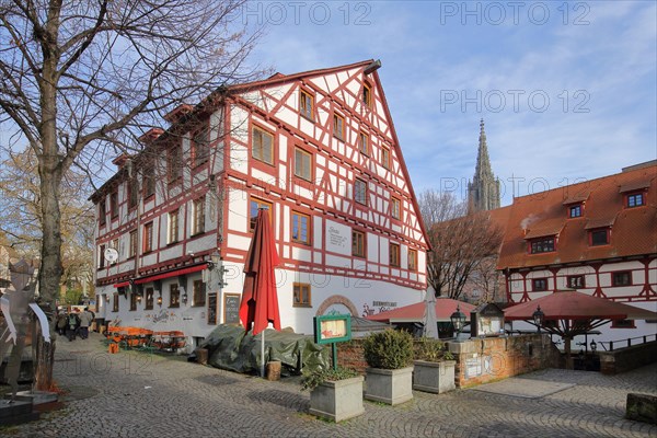 Half-timbered house Restaurant Lochmuehle and spire of Ulm Cathedral