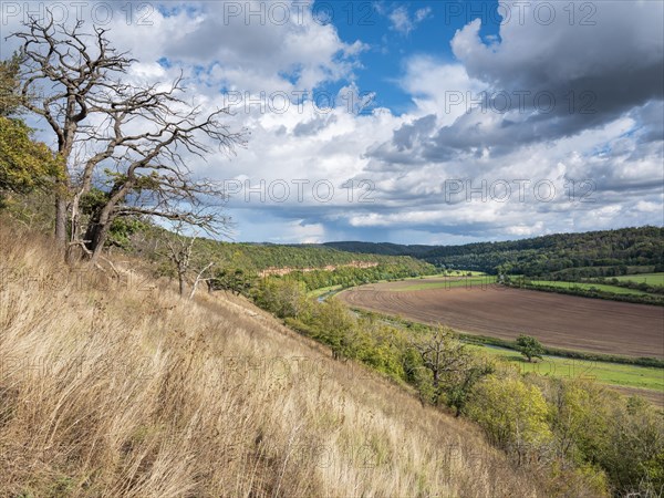 View into the Unstrut valley