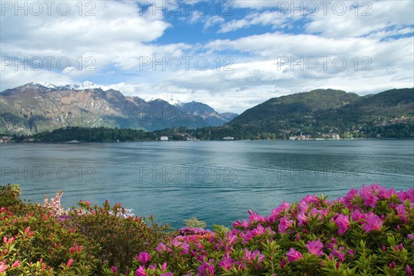 View of Bellagio from Villa Carlotta