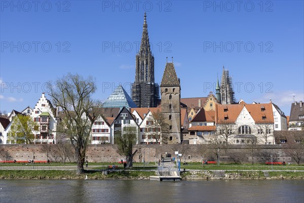 Danube and Danube promenade with Ulm city wall and Ulm Cathedral behind