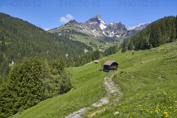 Aualm with large Bischofsmuetze