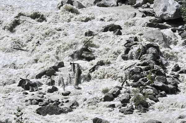Tree trunks in mountain stream in the Alps with meltwater from a glacier