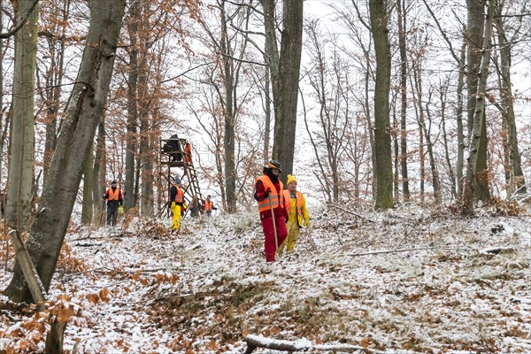 Driven hunt in Schoenbuch nature park Park