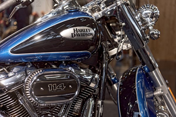 Engine block and tank of a Harley-Davidson Heritage Classic