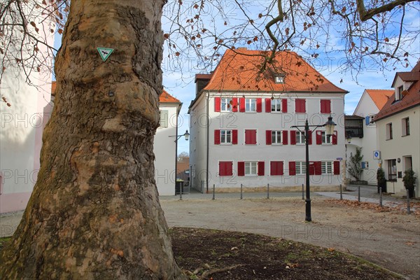 Tree trunk with symbol as natural monument and historical house at Frauenplatz