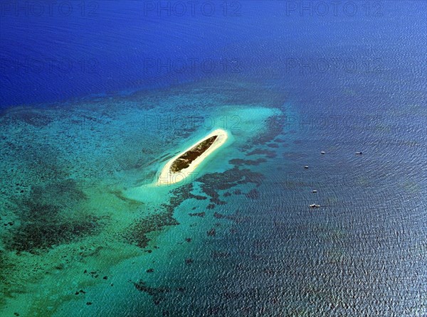 Aerial view of Michaelmas Cay offshore from Cairns Queensland Australia