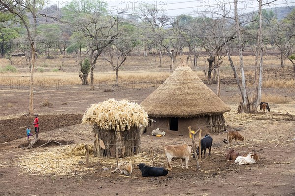 Traditional round hut with thatched roof of the Gamo tribe