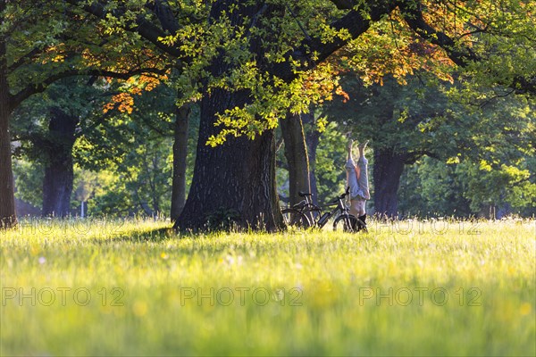 Yoga under old trees in Rosensteinpark