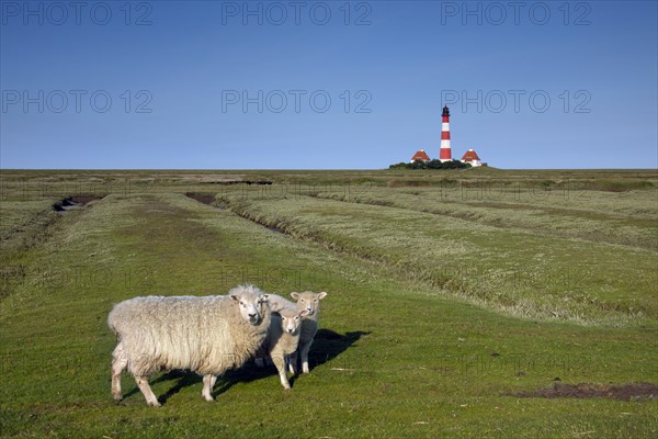 Lighthouse Westerheversand at Westerhever on the Eiderstedt Peninsula