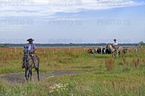 Traditional Argentine gauchos on horseback