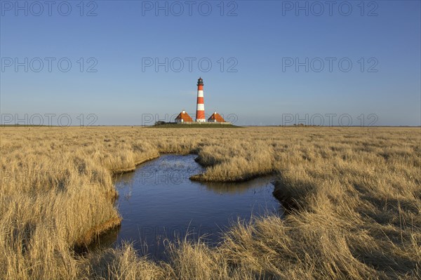 Saltmarsh and the lighthouse Westerhever in spring