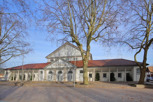 Town Hall in Haslach