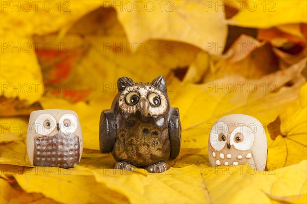 Owls Figures on Autumn Leaves