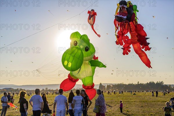 Kite festival