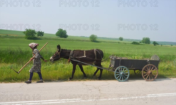 Woman cutting grass with scythe at the roadside