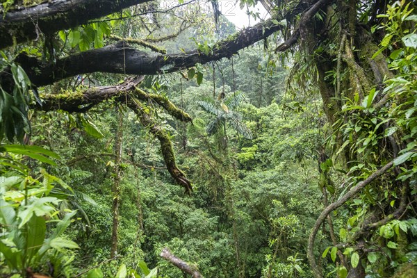 La Fortuna