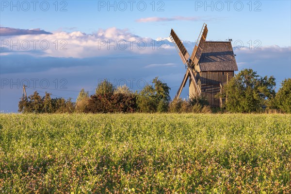 The windmill of Krippendorf on the battlefield of 1806 in the last evening light