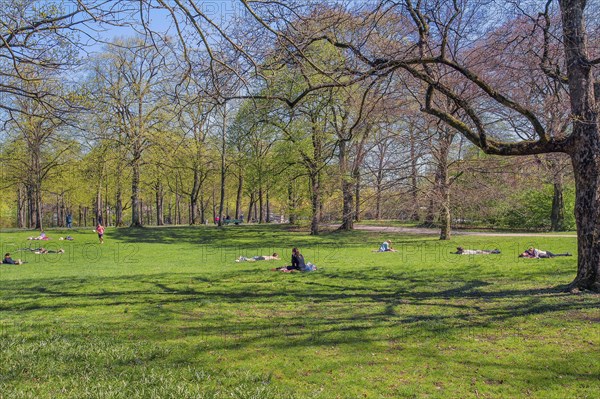 People sunbathing in the springtime Luitpoldpark