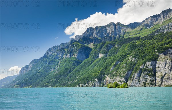 Sunny view over Lake Walen with the small chive island in the turquoise water and mountain range Schaeren and Leistchamm in the background