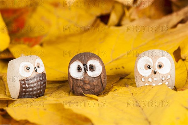 Owls Figures on Autumn Leaves